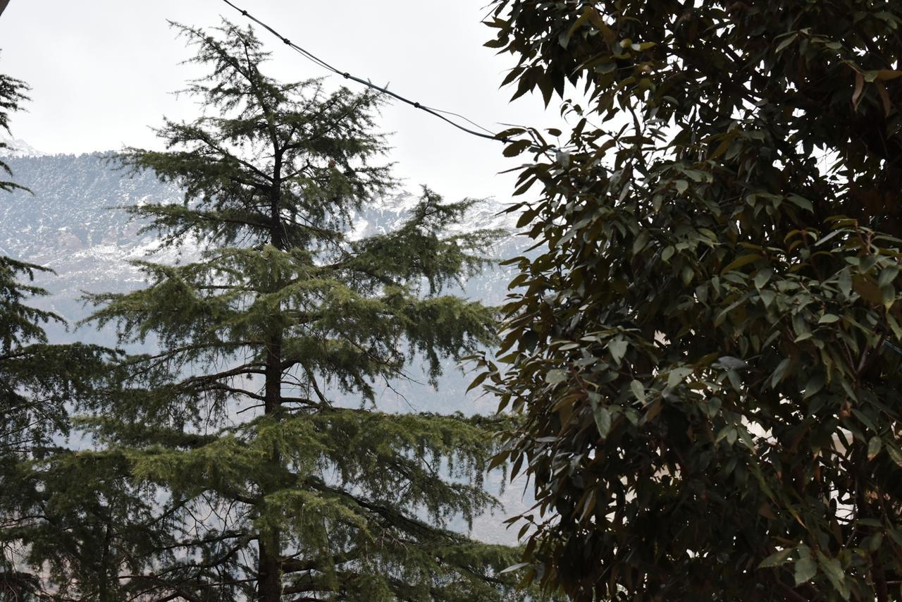 Hotel Akash - Luxury Hotel In Mcleodganj МакЛеод Ганж Екстериор снимка